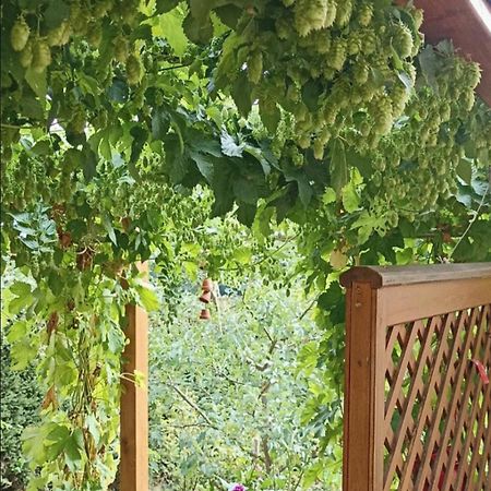 Apartment Mit Gartenblick Eckersdorf Zewnętrze zdjęcie