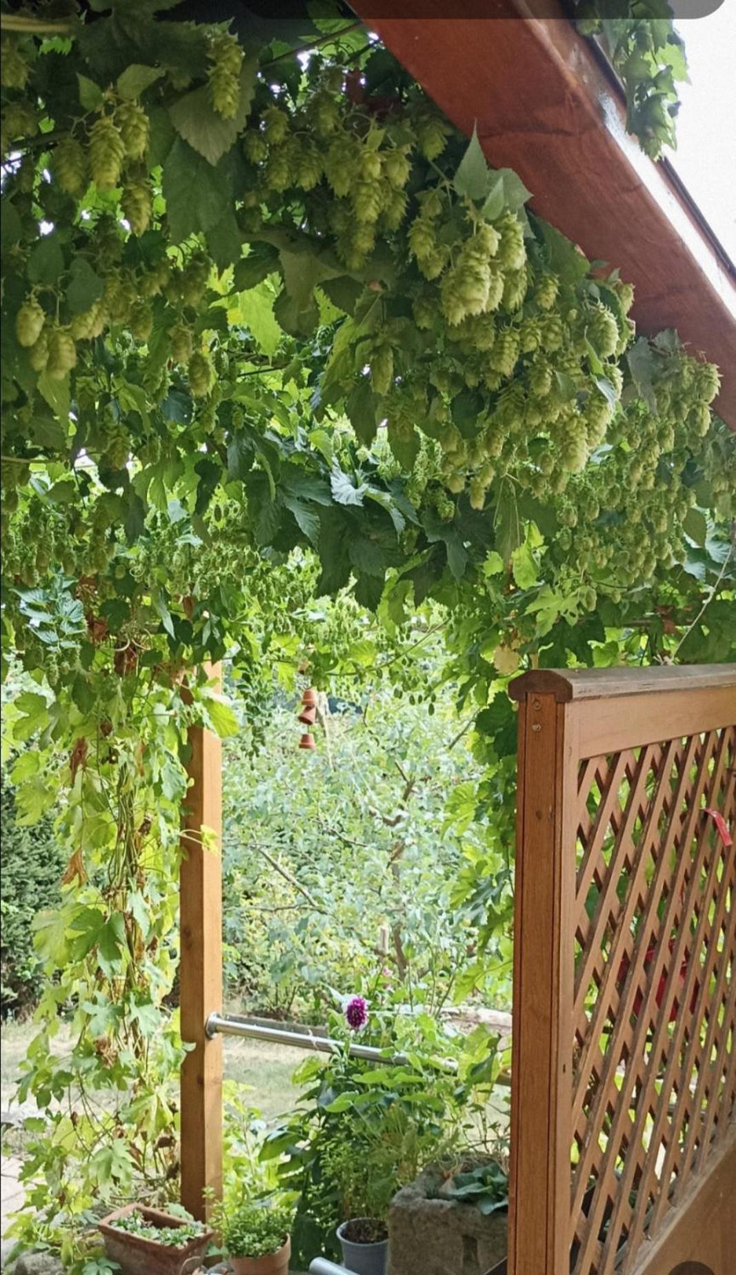 Apartment Mit Gartenblick Eckersdorf Zewnętrze zdjęcie