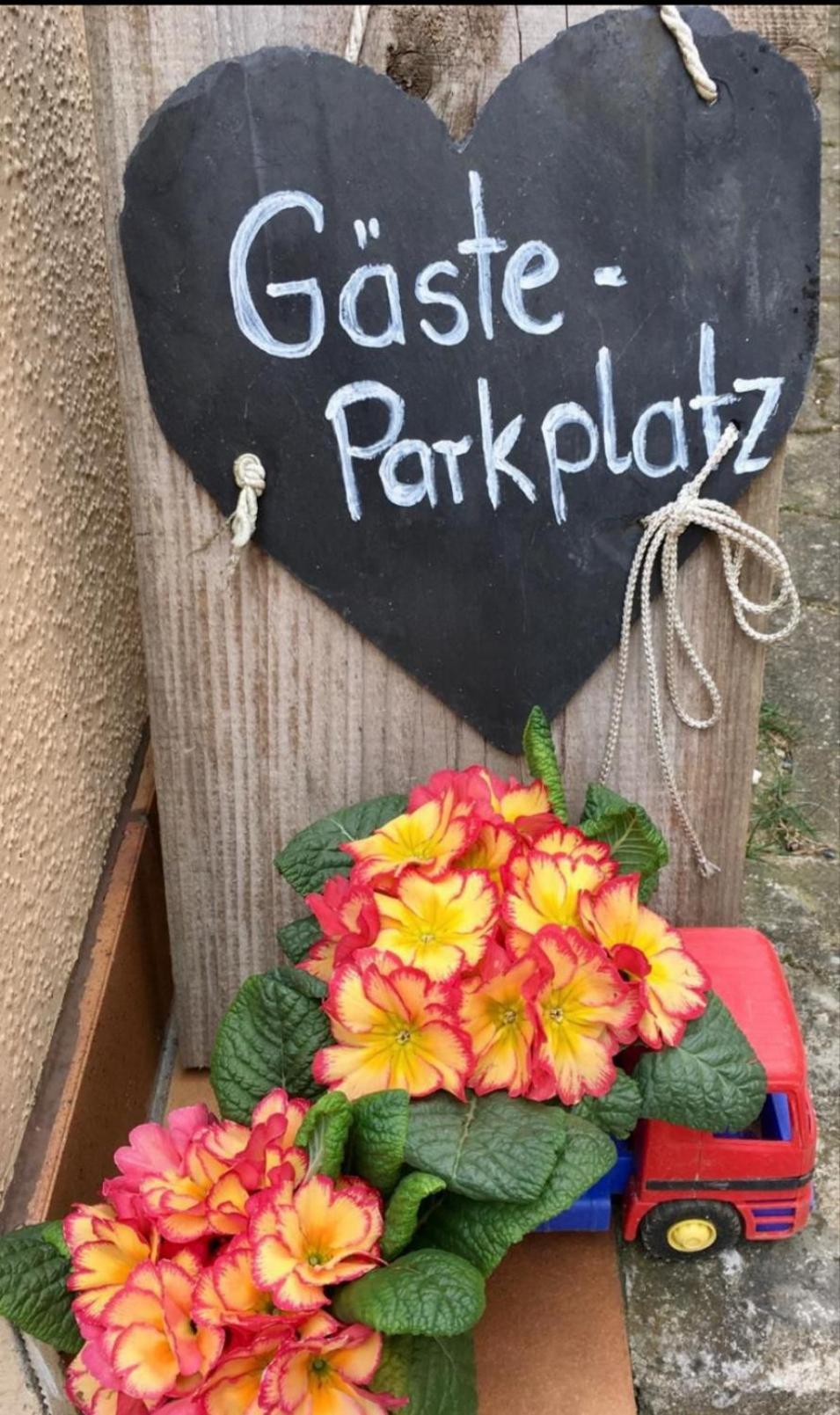 Apartment Mit Gartenblick Eckersdorf Zewnętrze zdjęcie