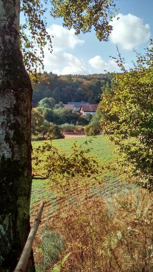 Apartment Mit Gartenblick Eckersdorf Zewnętrze zdjęcie