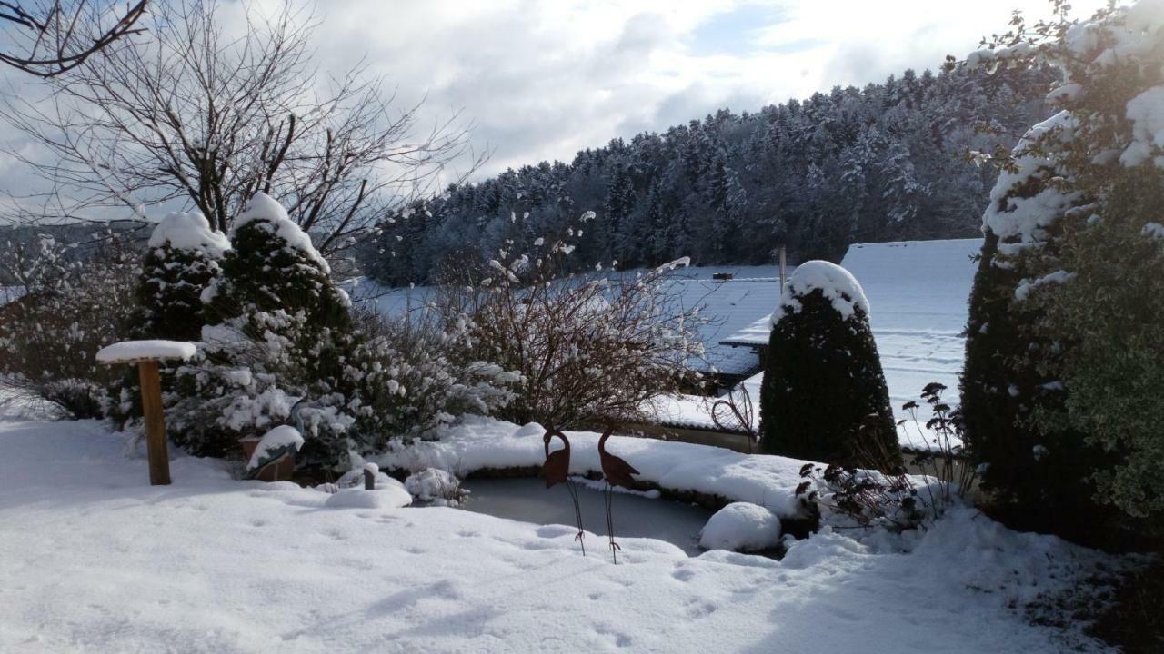 Apartment Mit Gartenblick Eckersdorf Zewnętrze zdjęcie